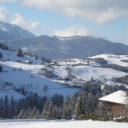 Haus Oberhaslach Abtenau Exterior foto