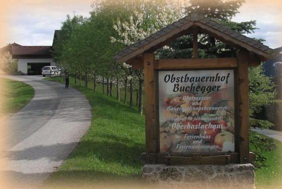 Apartamento Haus Oberhaslach Abtenau Exterior foto
