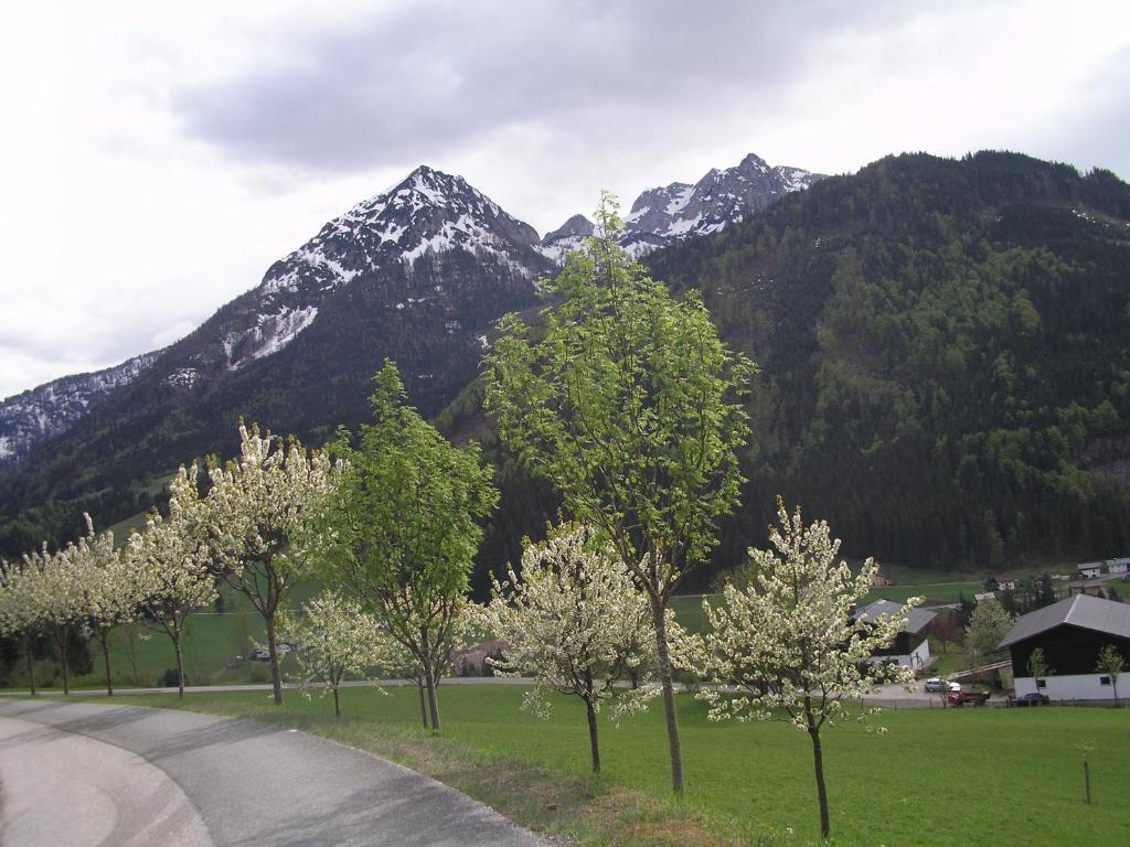 Haus Oberhaslach Abtenau Exterior foto